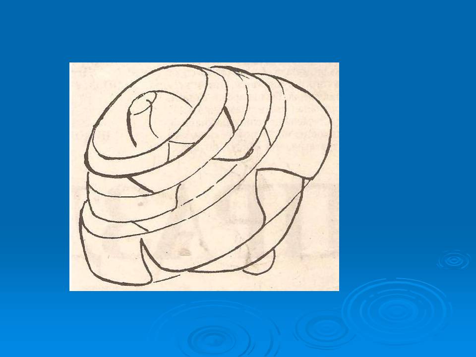 Как рисовать цветы