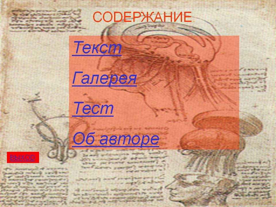 Текст