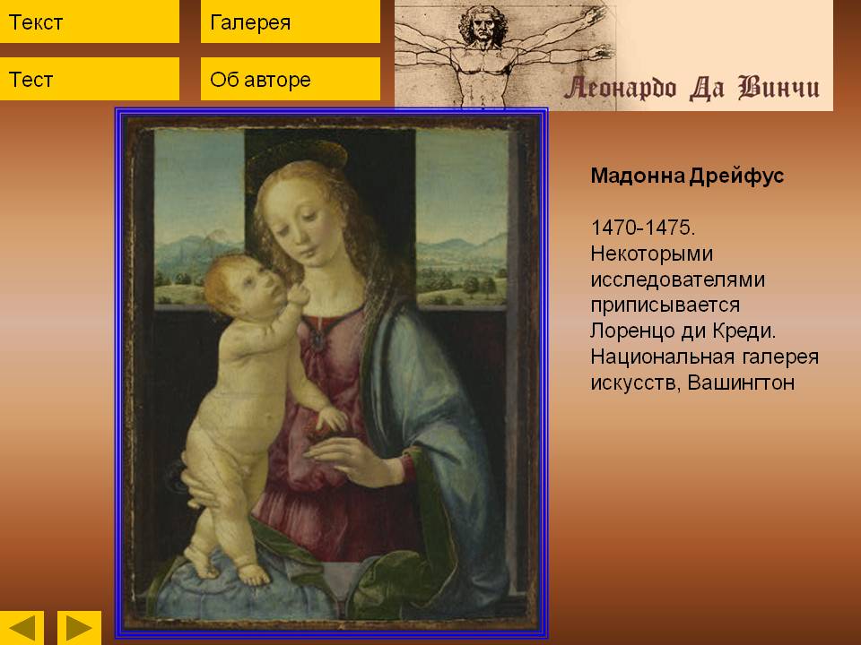 Мадонна Дрейфус