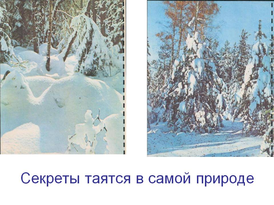 Секреты таятся в самой природе