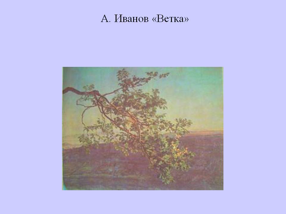 Ветка