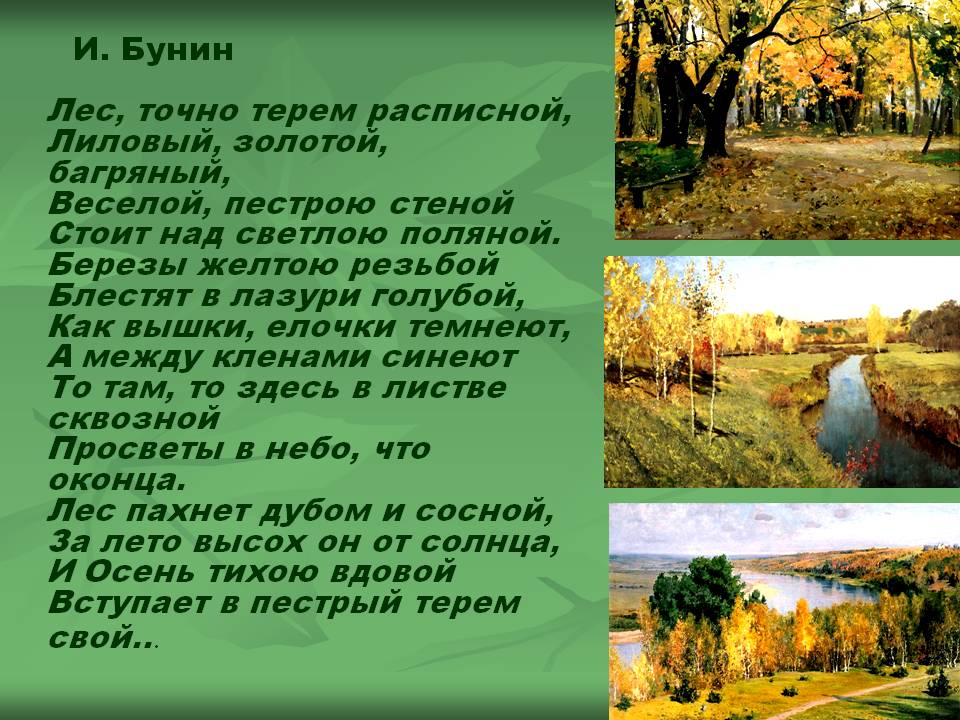 Лес