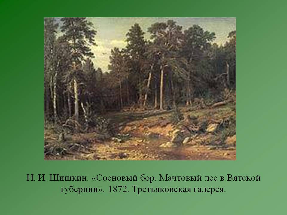Сосновый бор