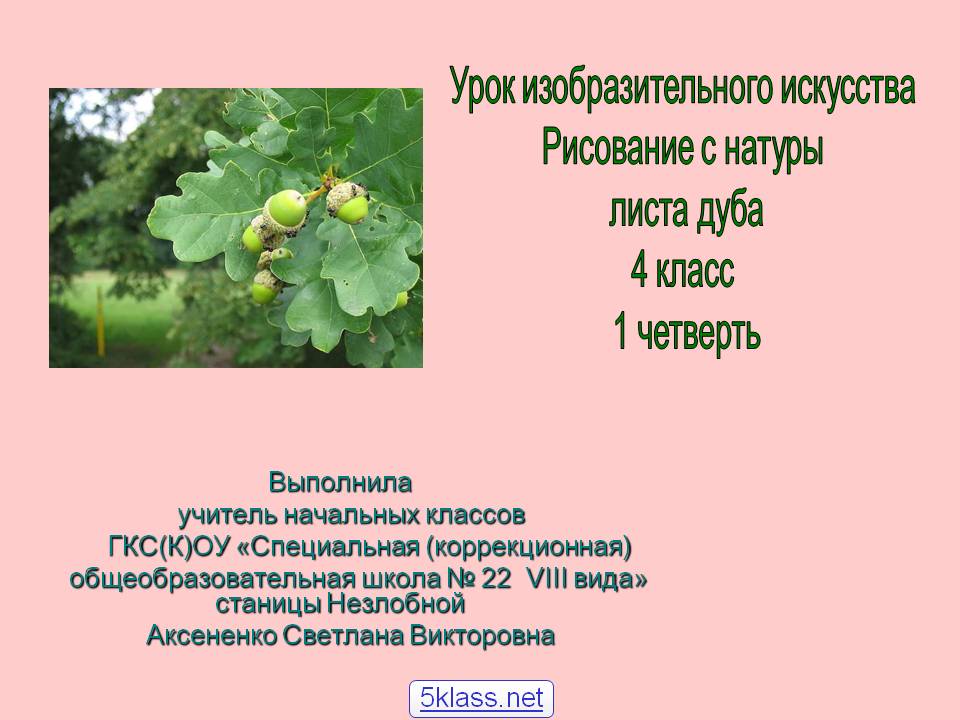 Рисование с натуры листа дуба