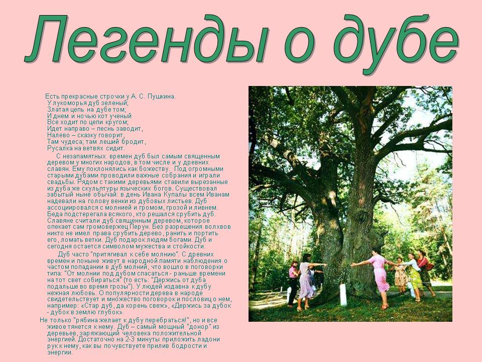 Легенды о дубе