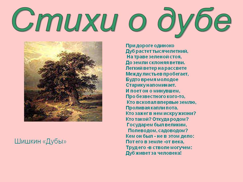 Шишкин «Дубы»