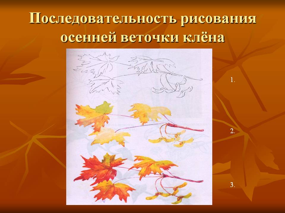 Последовательность рисования осенней веточки клёна