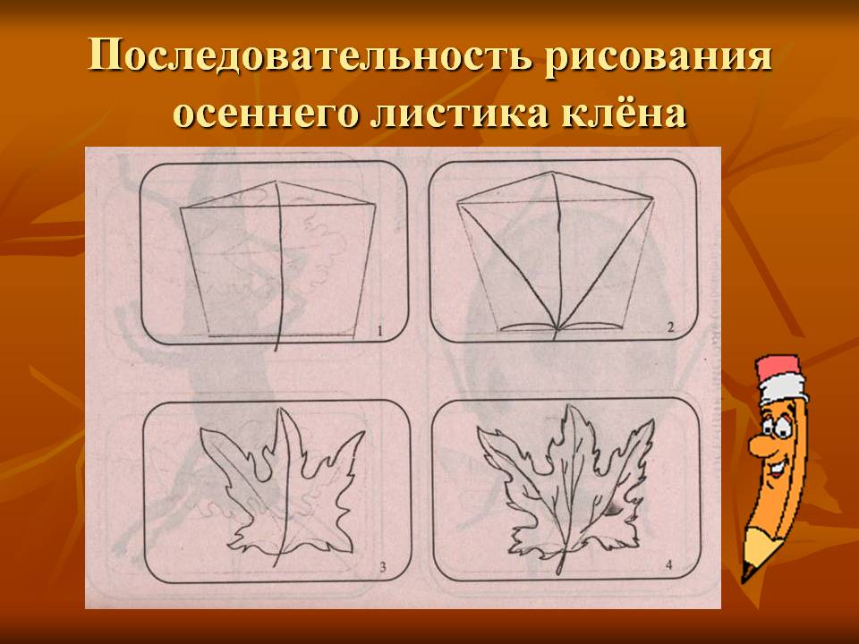 Последовательность рисования осеннего листика клёна