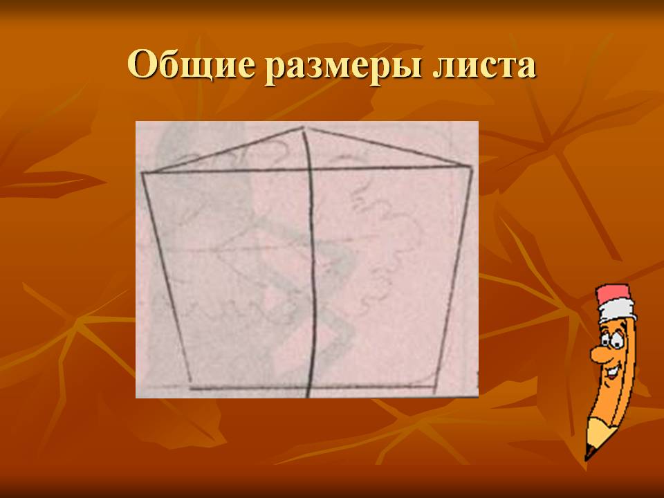 Общие размеры листа