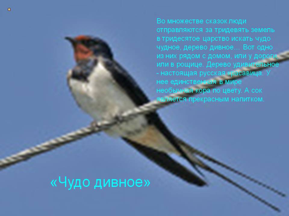 «Чудо дивное»
