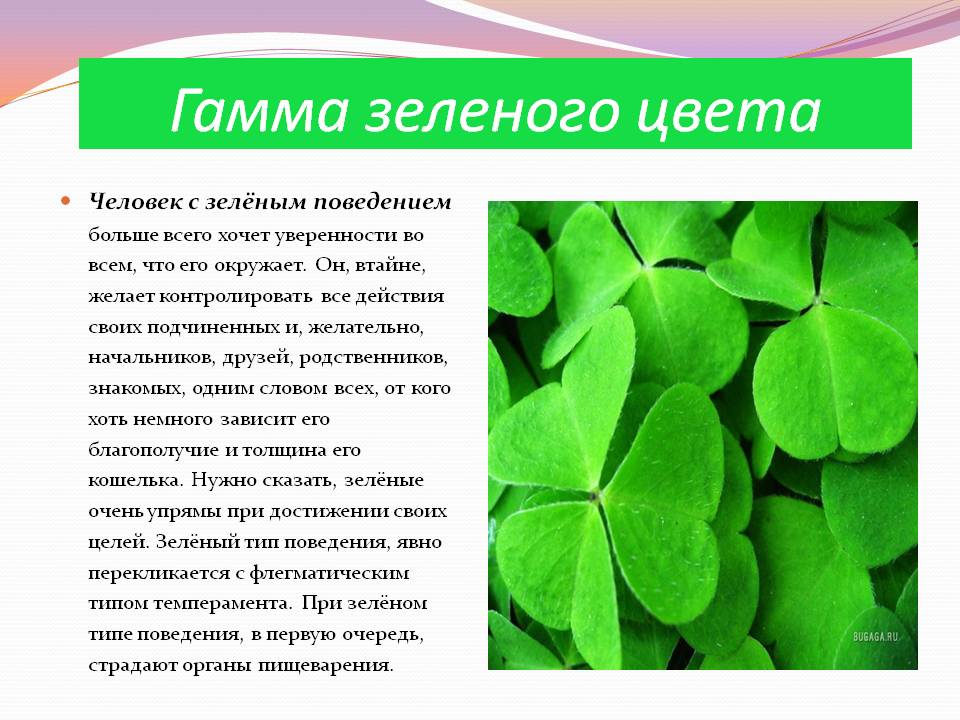 Гамма зеленого цвета