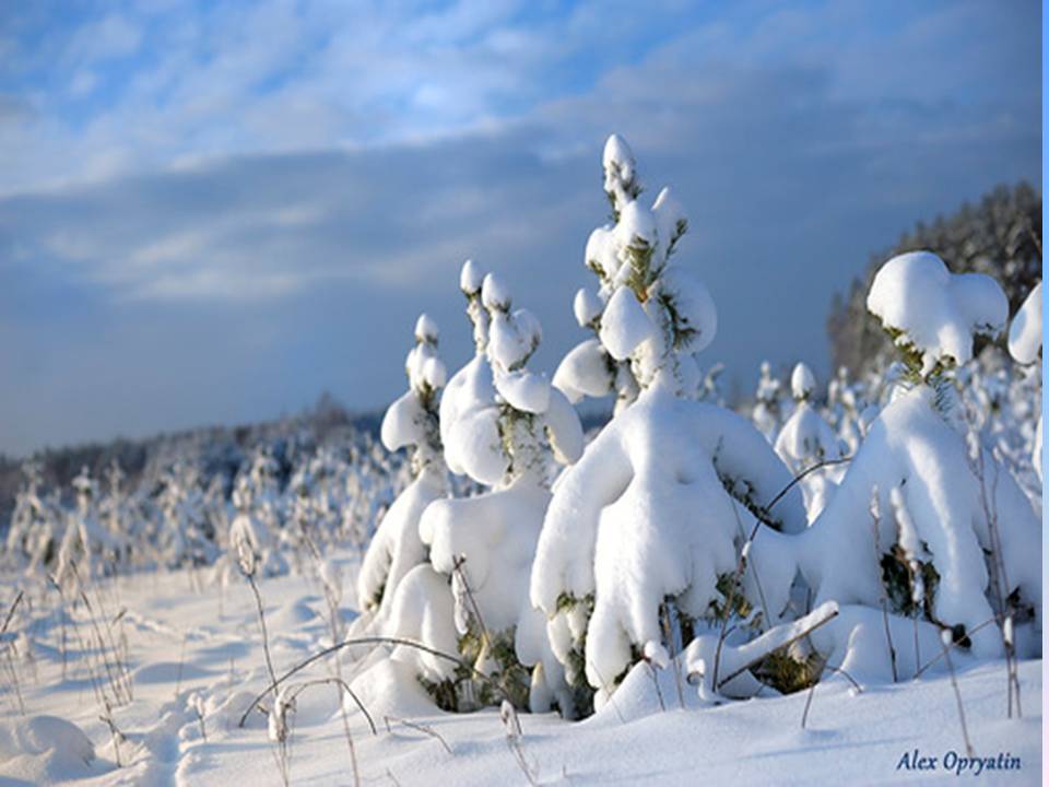 Волшебница зима