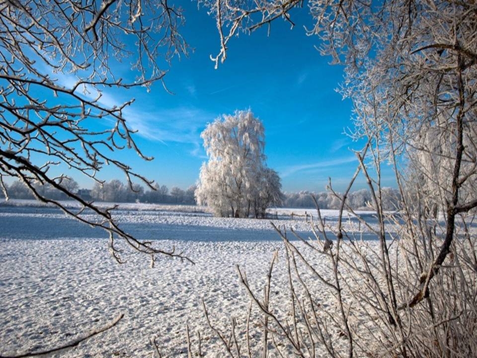 Волшебница зима
