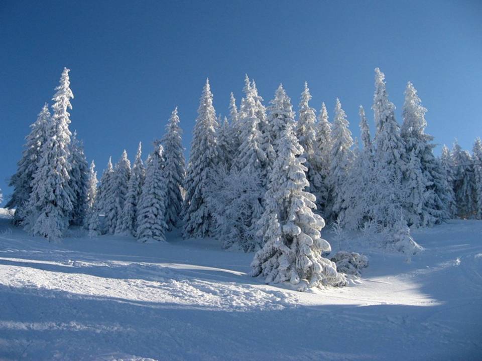 Волшебница зима