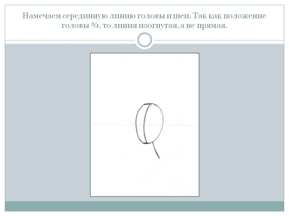 Намечаем серединную линию головы и шеи