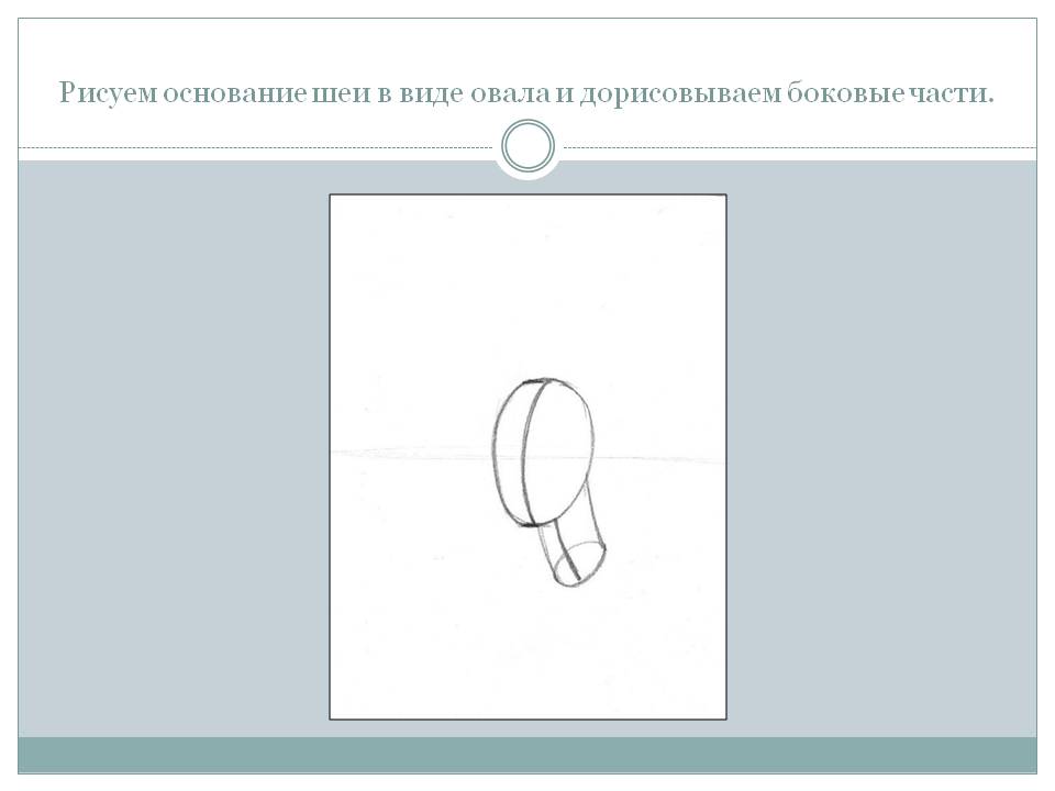 Рисуем основание шеи в виде овала и дорисовываем боковые части