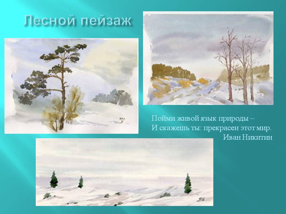 Лесной пейзаж