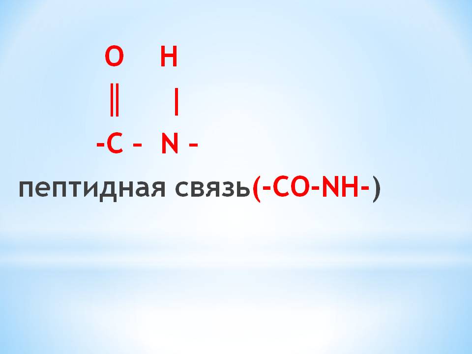 Пептидная связь