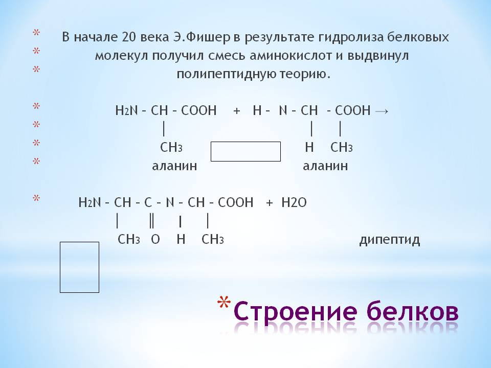 Строение белков