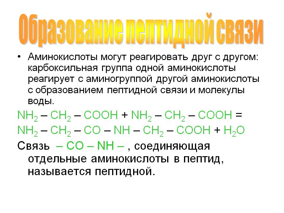Образование пептидной связи