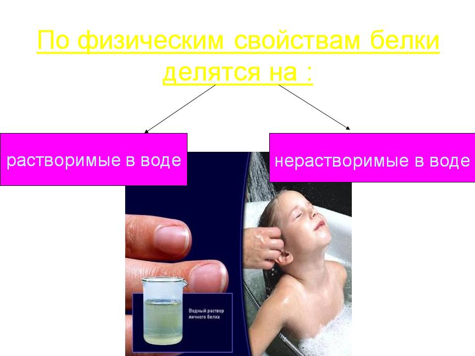 По физическим свойствам белки делятся