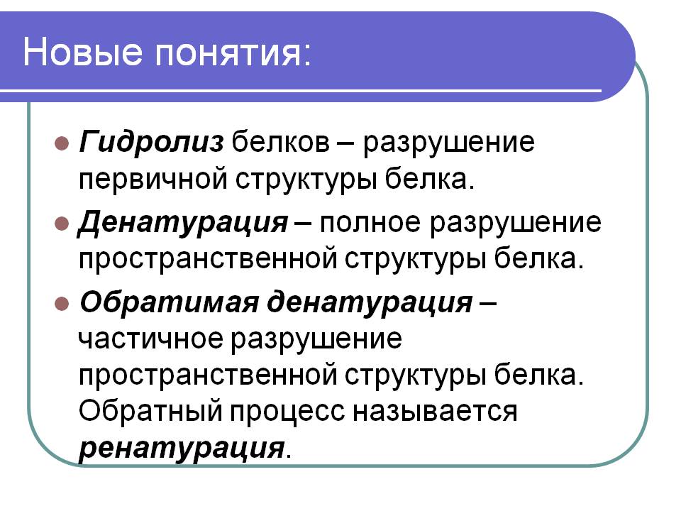 Новые понятия