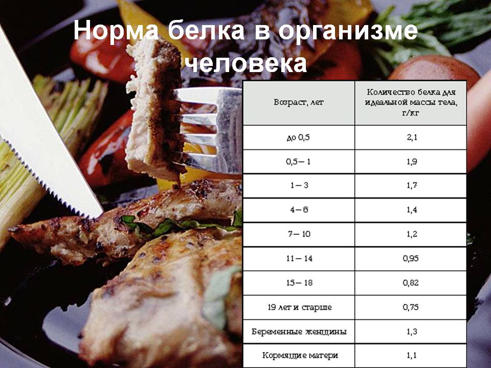 Норма белка в организме человека
