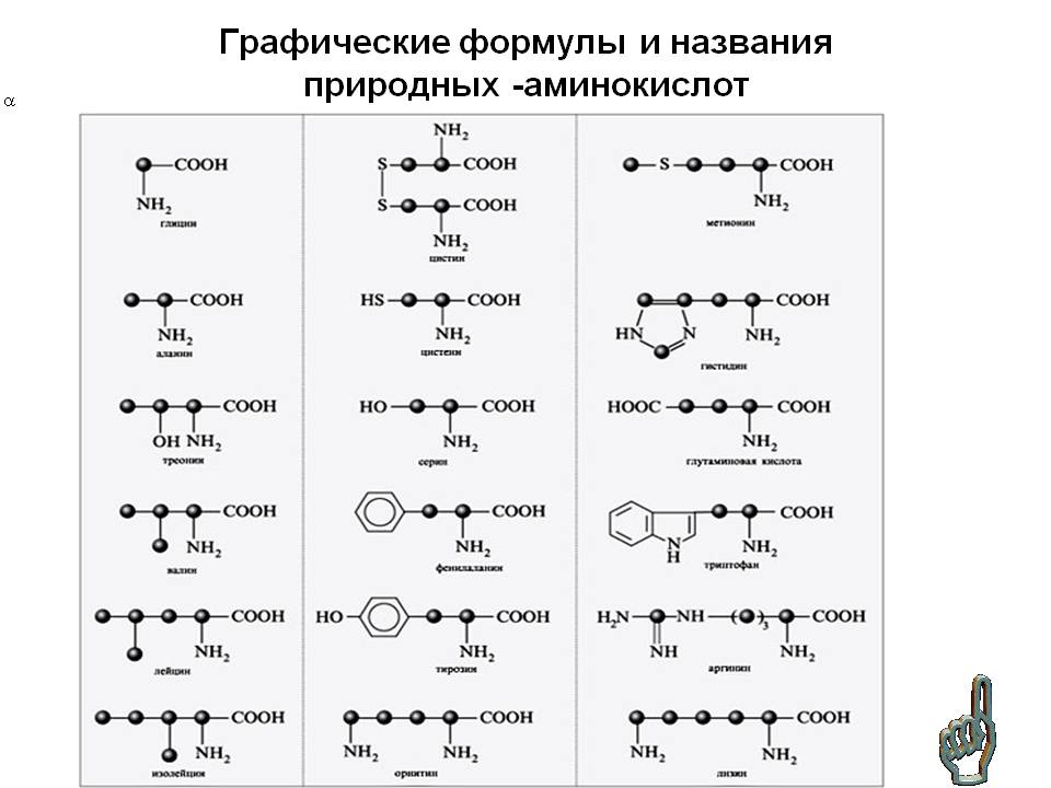 Графические формулы и названия природных -аминокислот