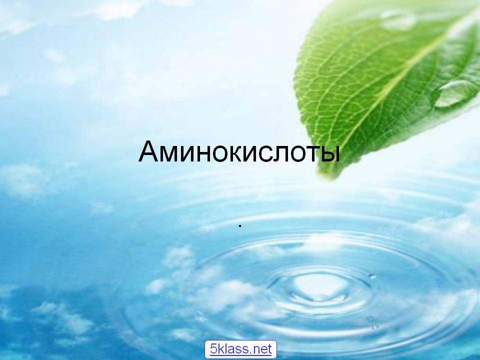 Аминокислоты