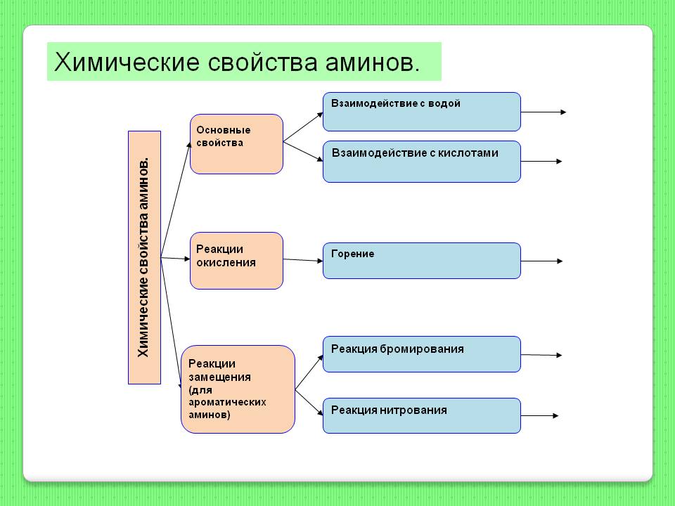 Химические свойства аминов