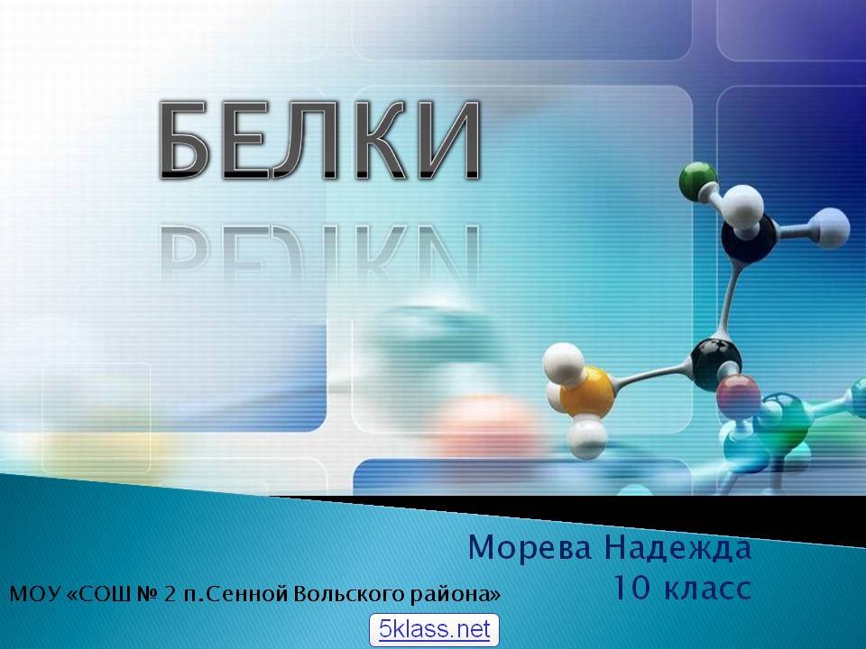 Белки