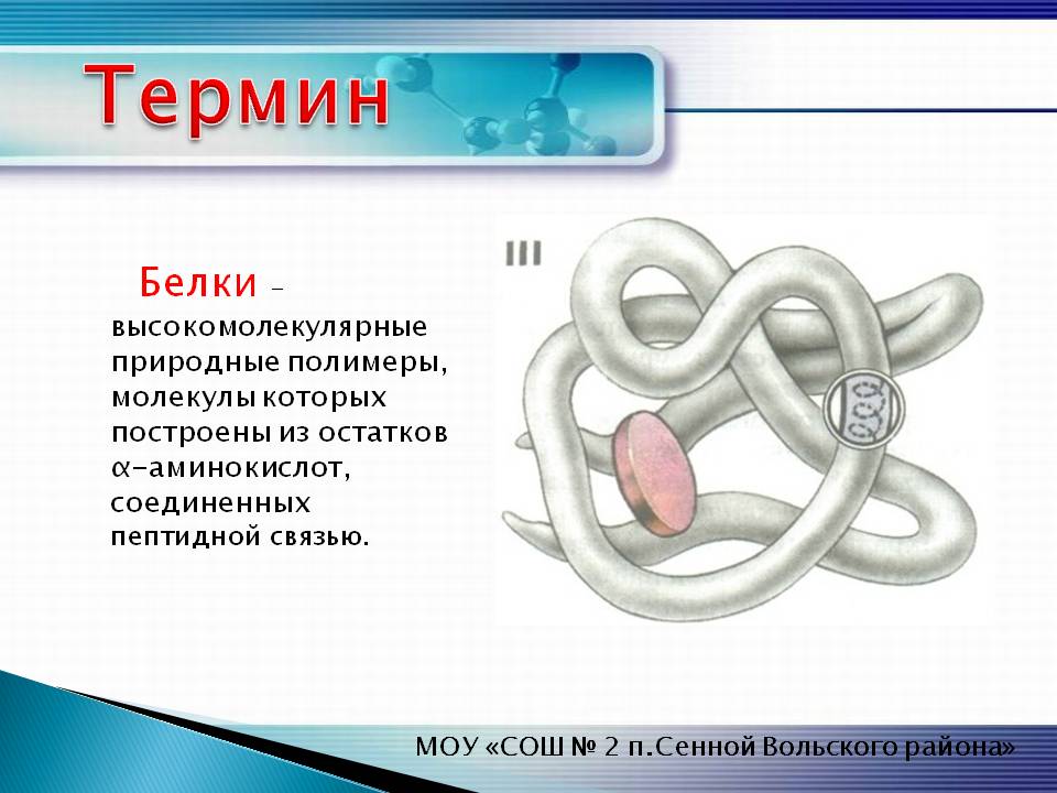 Термин