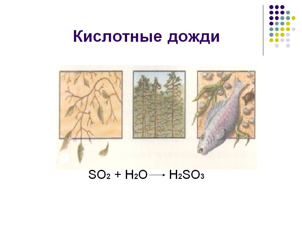 Кислотные дожди