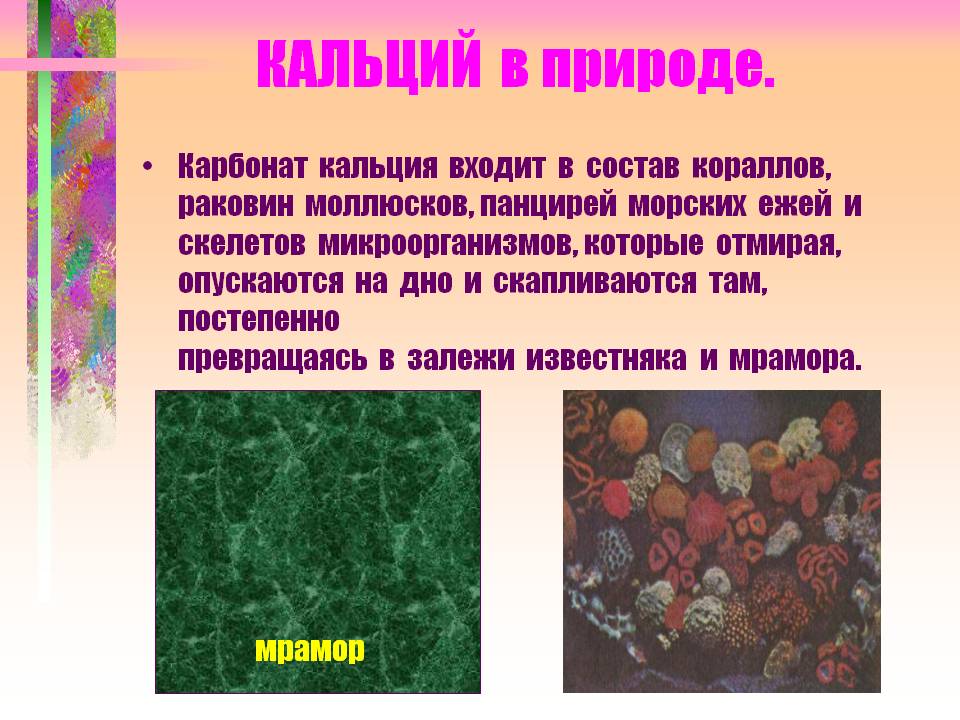 КАЛЬЦИЙ в природе