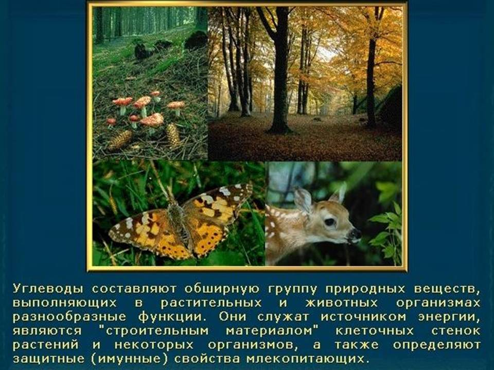 Химия глюкоза