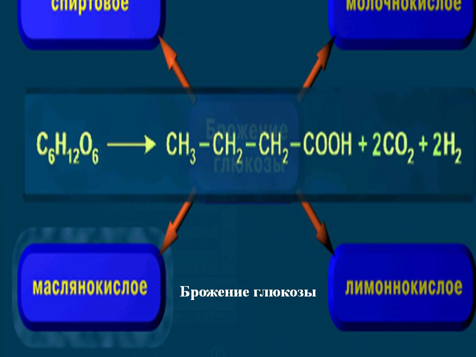 Брожение глюкозы