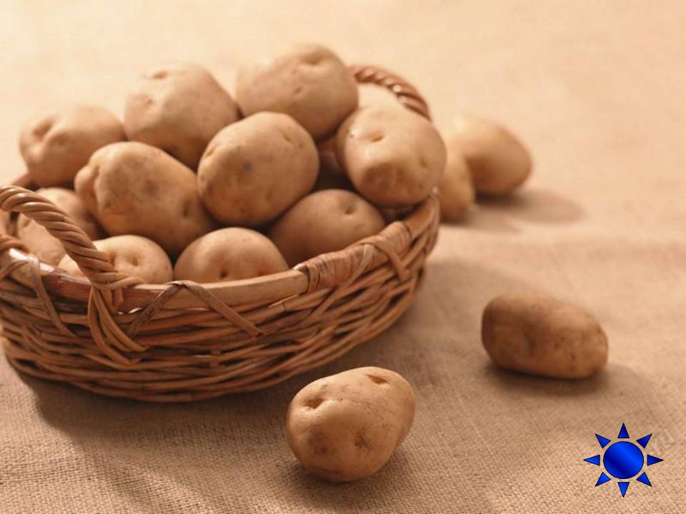 Крахмал