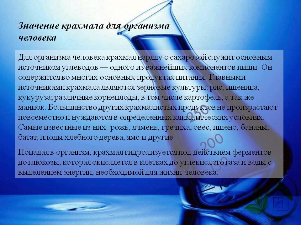 Значение крахмала для организма человека