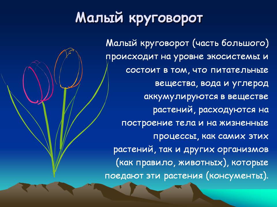 Малый круговорот