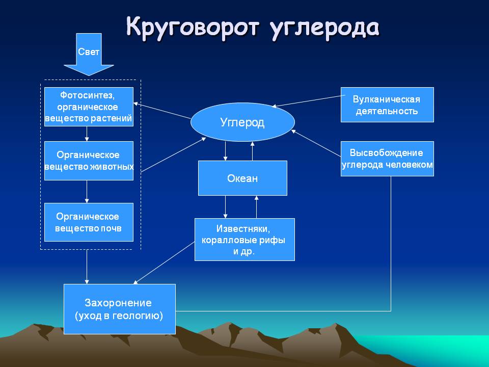 Круговорот углерода
