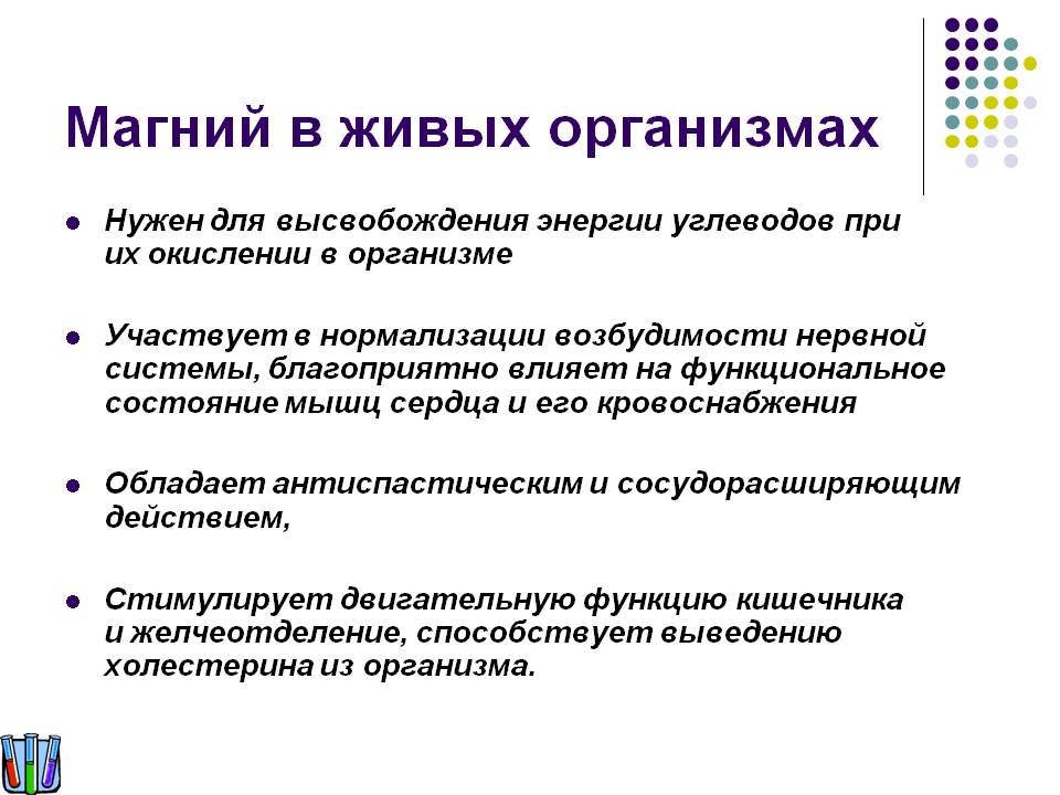 Магний в живых организмах