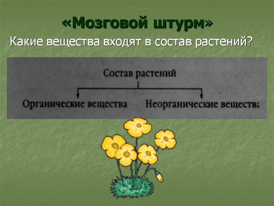 «Мозговой штурм»
