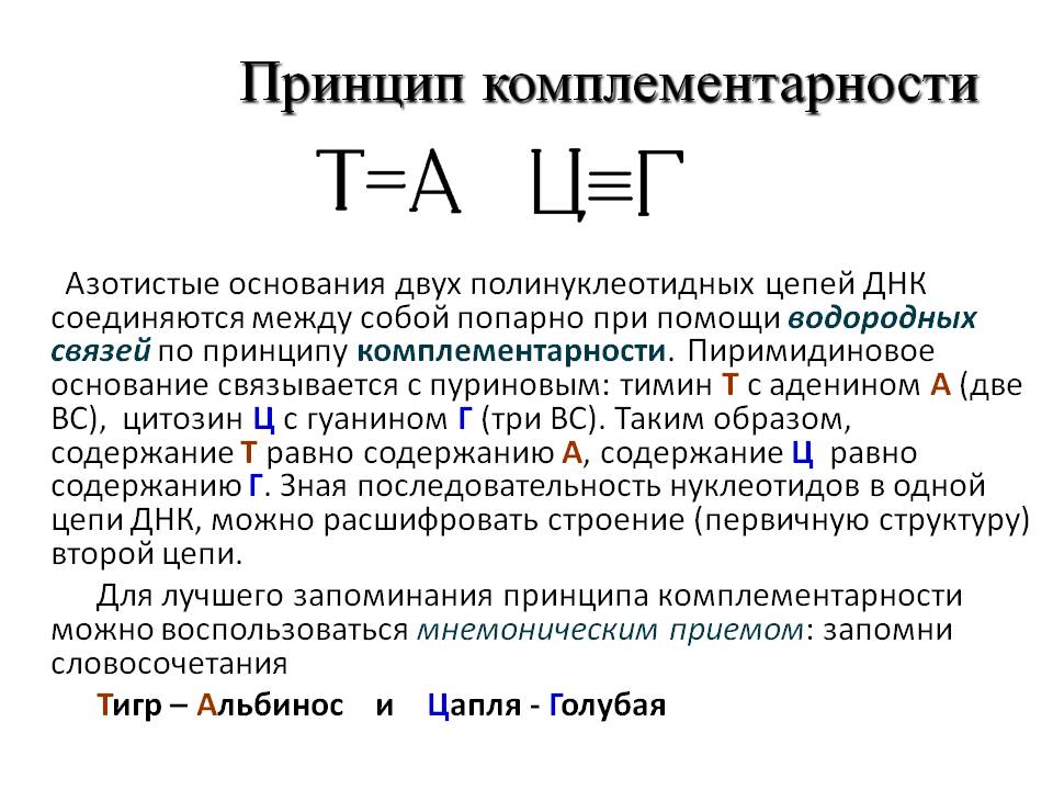 Принцип комплементарности