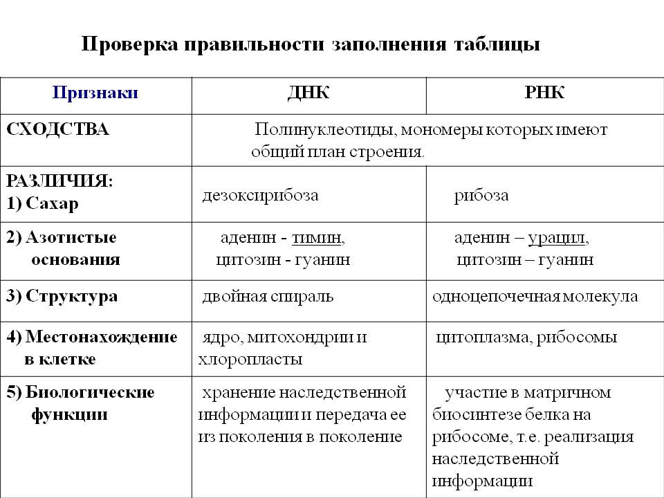 Сходства