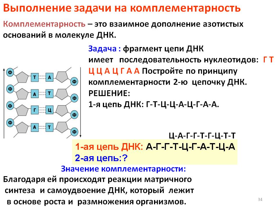 Задачи на комплементарность
