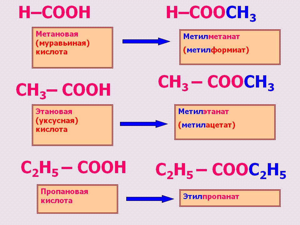 Метановая (муравьиная) кислота