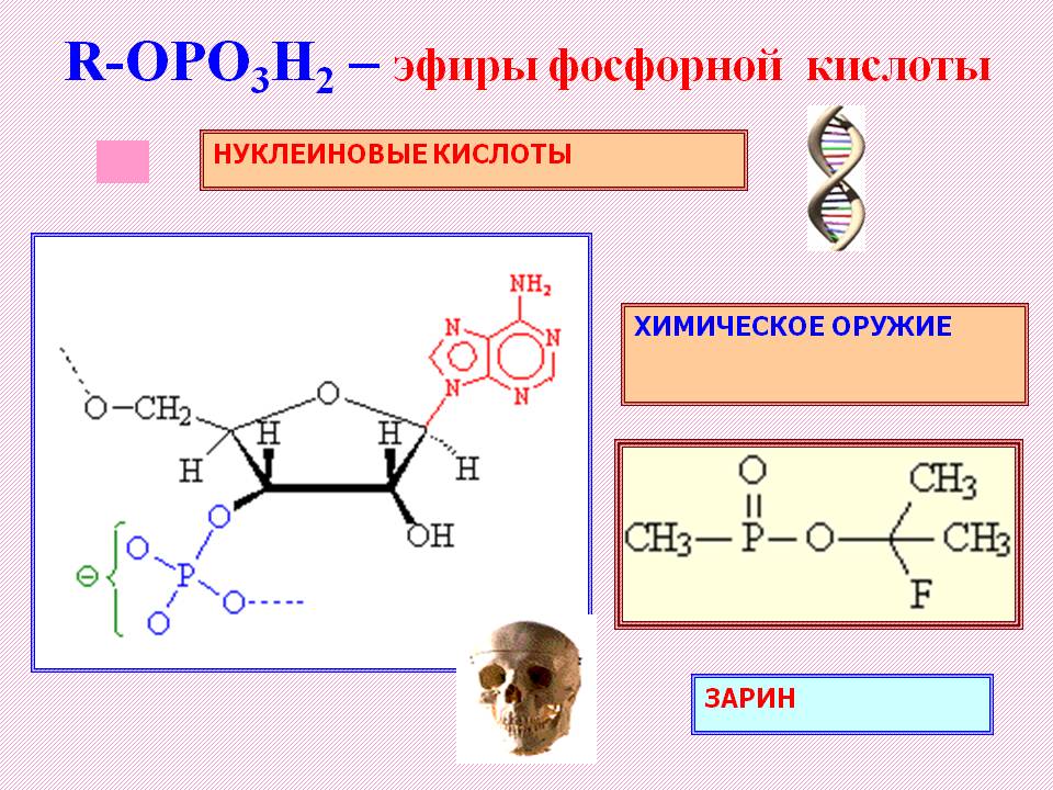 Эфиры фосфорной кислоты