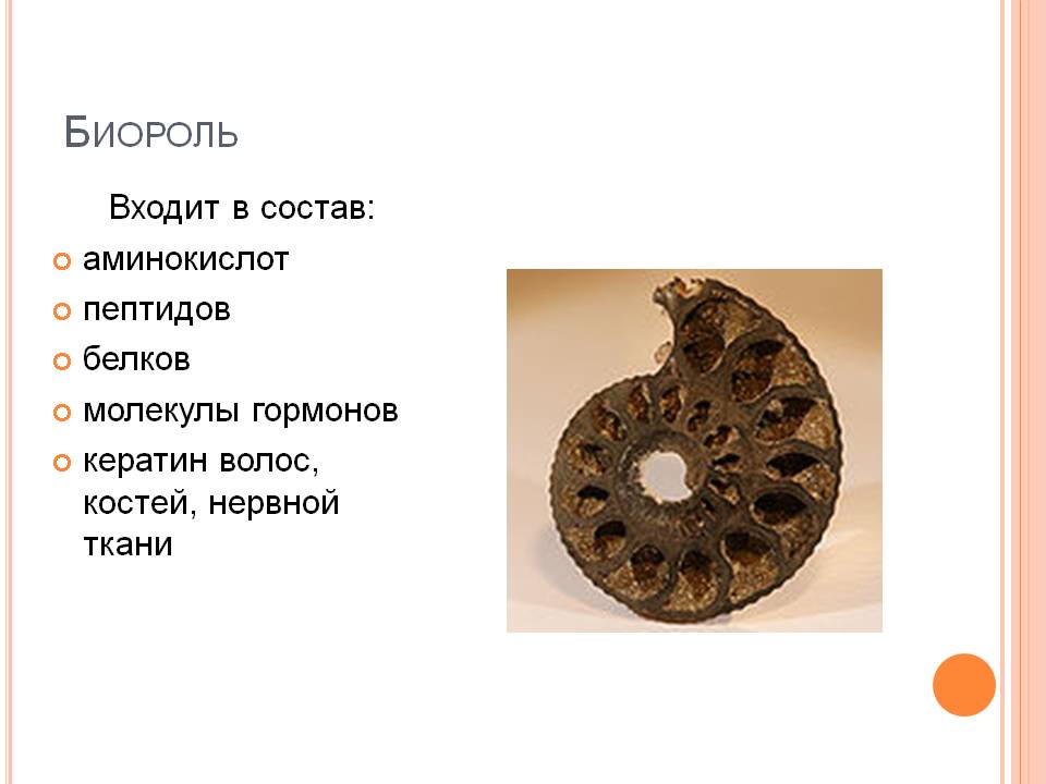 Биороль