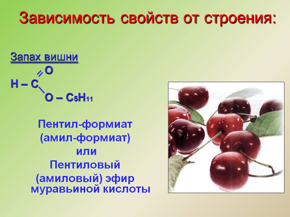 Запах вишни