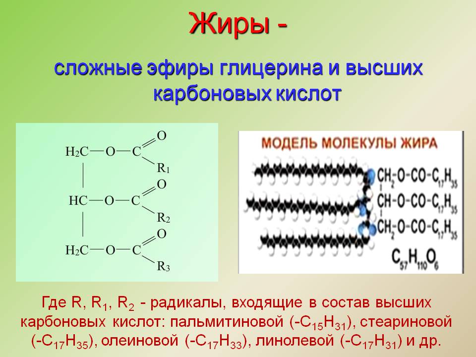 Жиры
